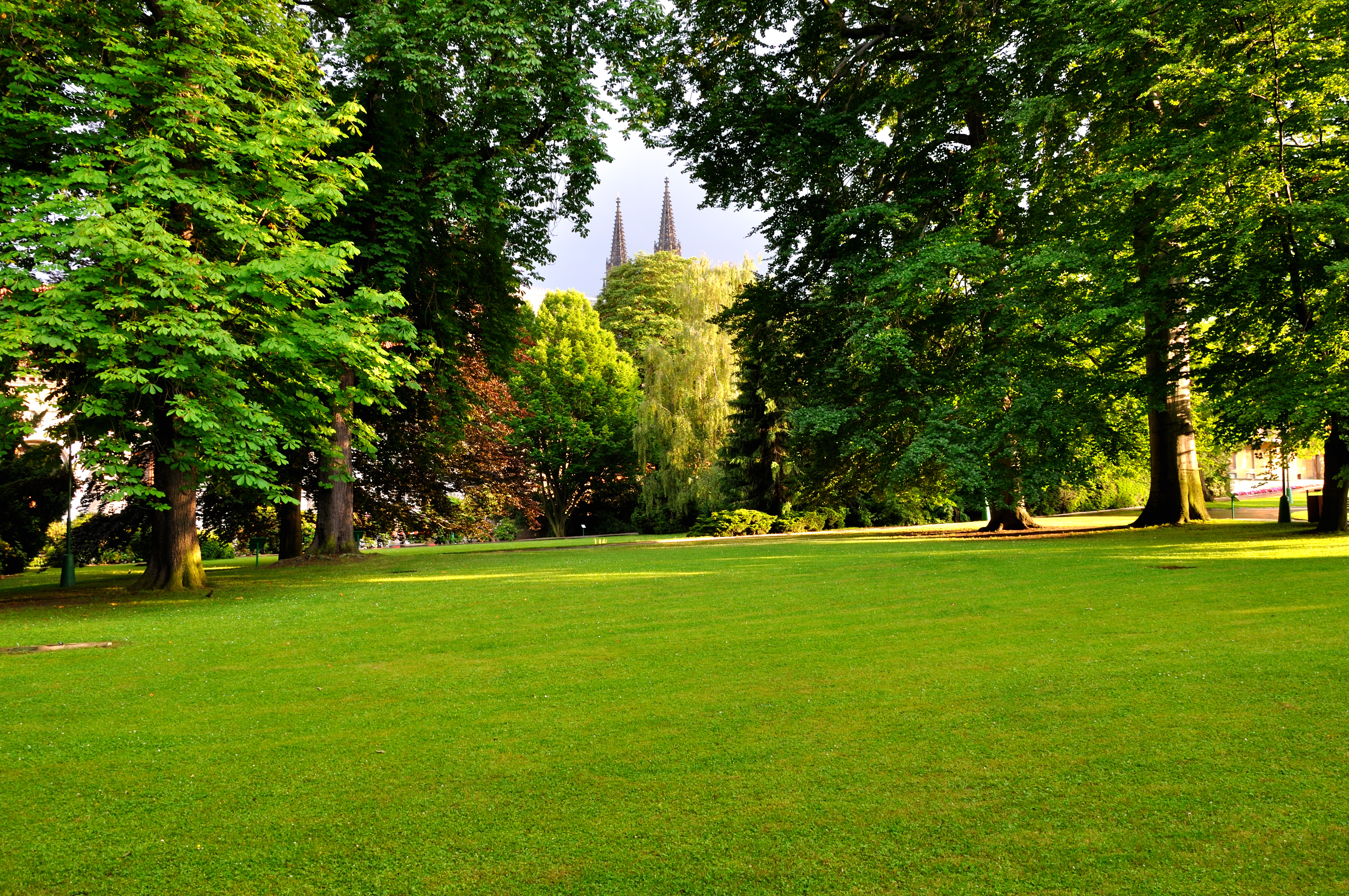sécheresse jardin