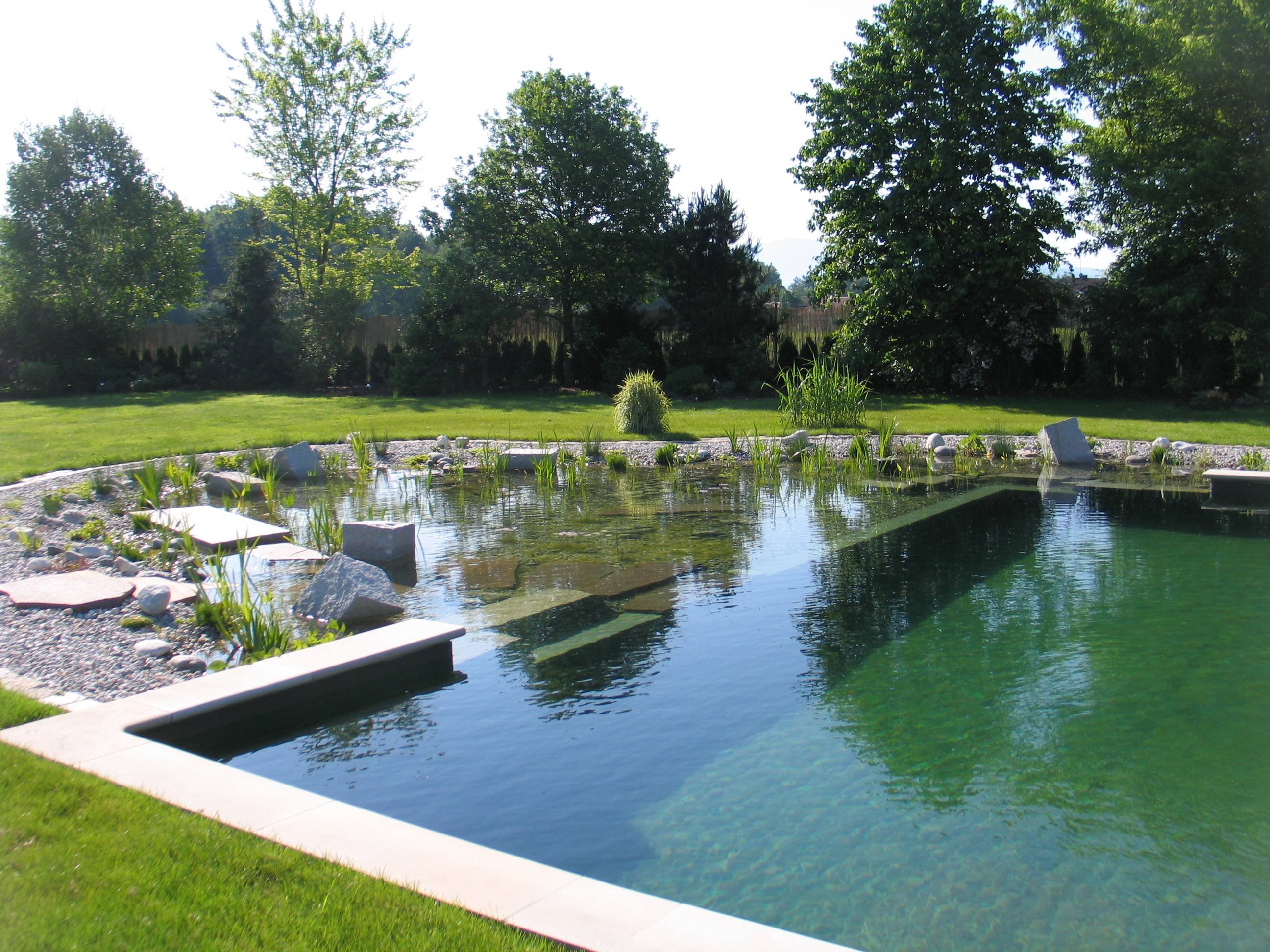 atout piscine naturelle