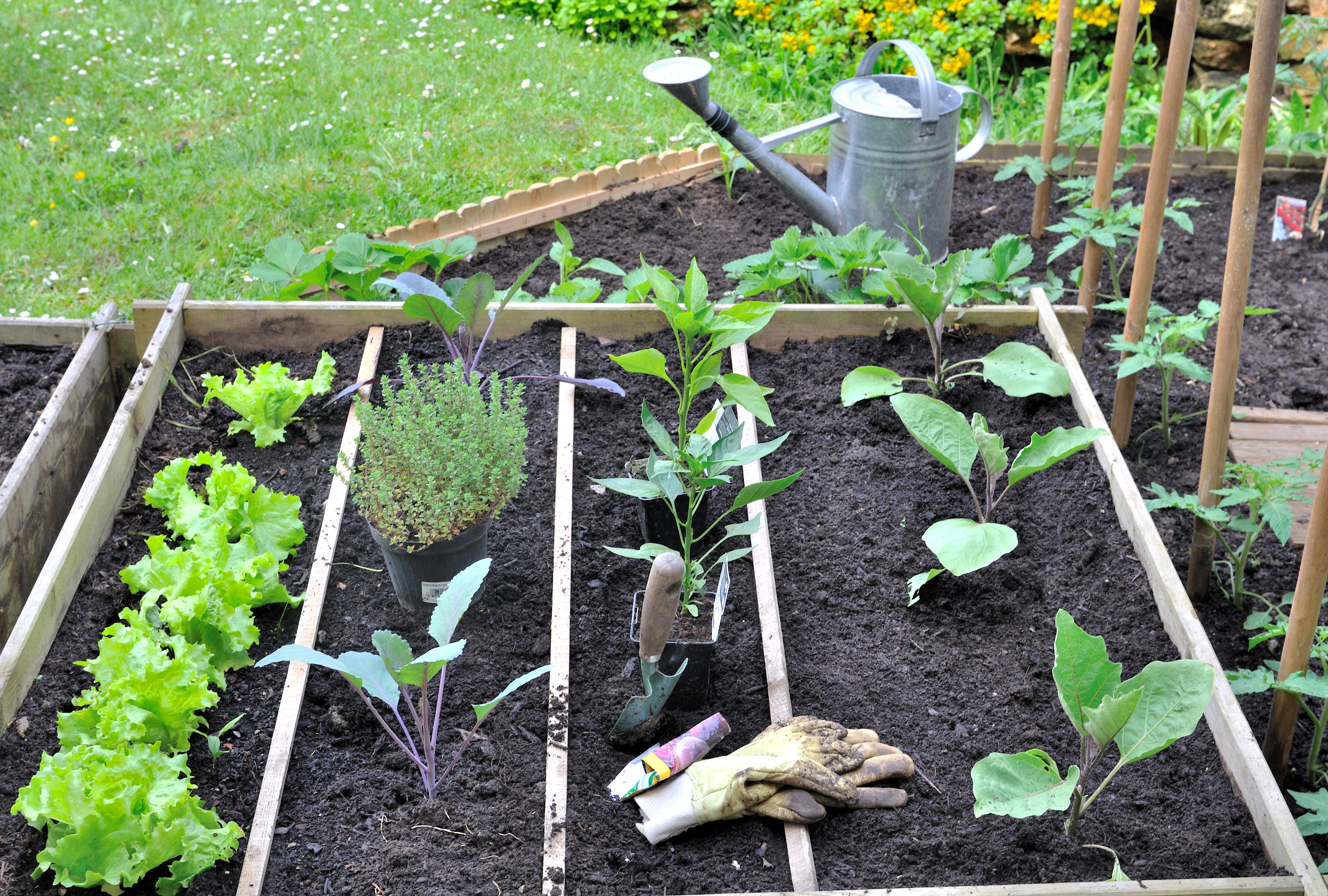 potager