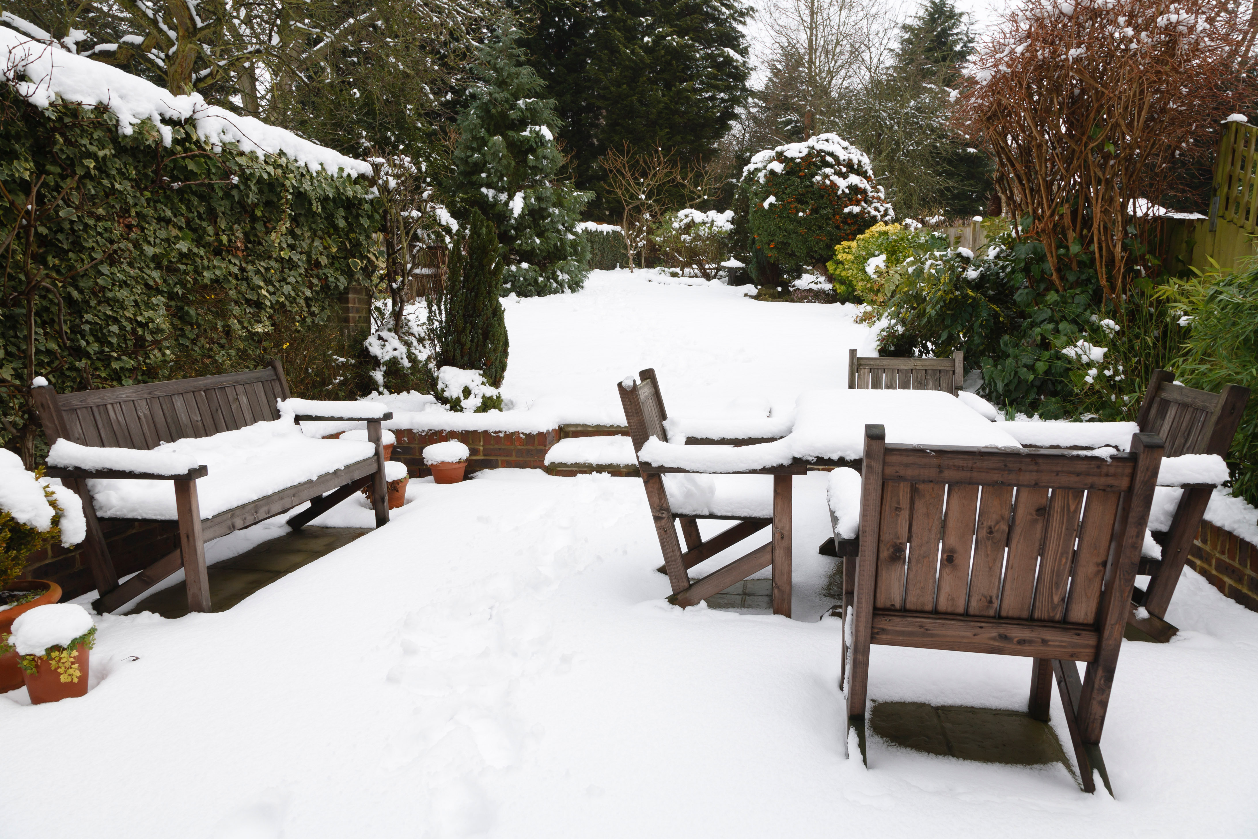 protection jardin hiver