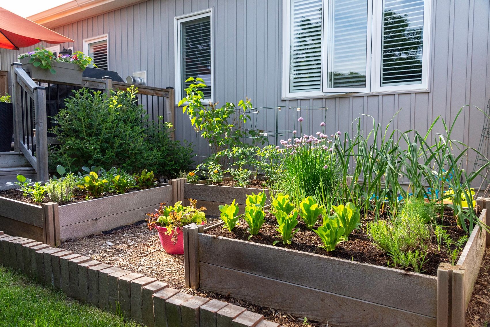 jardin sur terrasse