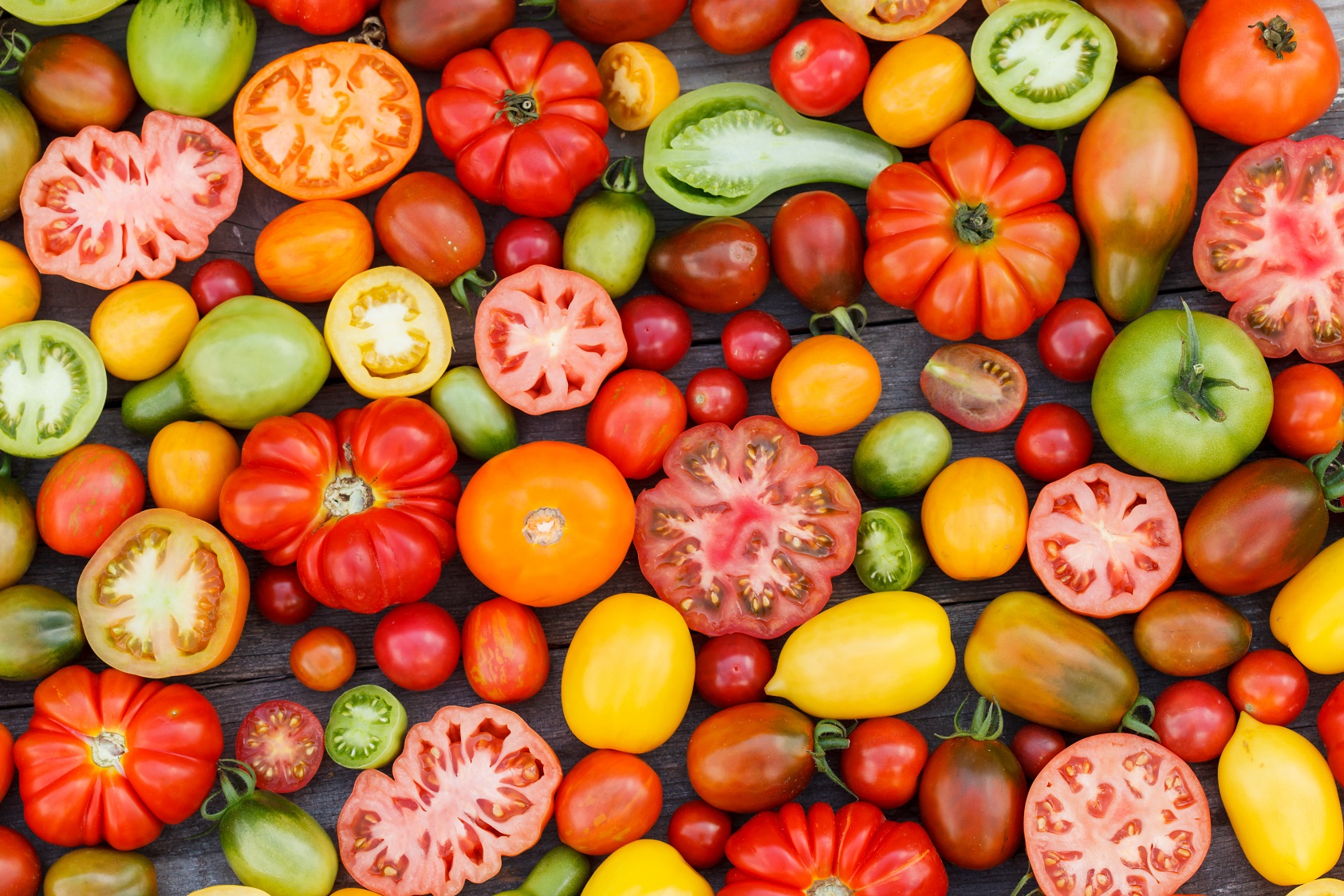 legume facile a cultiver la tomate